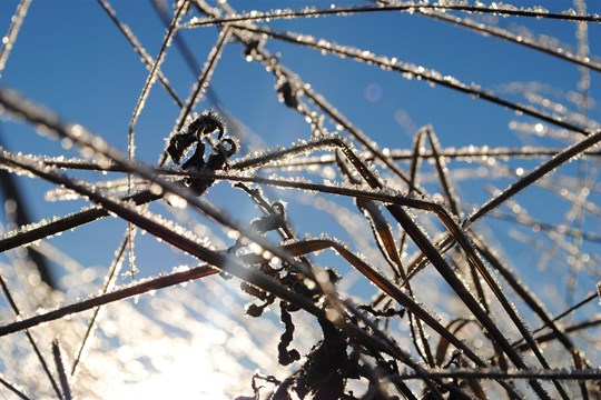 Meteorologové varují: Dorazí silné mrazy