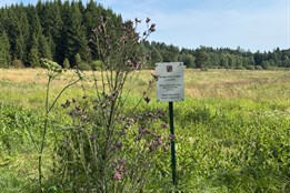 Projekt lázně Frymburk postupuje podle plánu a přináší městysi dlouhodobé výhody