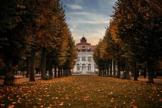 Smetanovy sady, Sokolov i Loreta: Karlovarský kraj bojuje o titul Alej roku