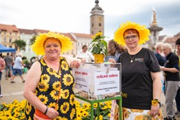 Roska České Budějovice představí revoluční přístroj Imoove 100 a nového patrona – Pavla Šporcla