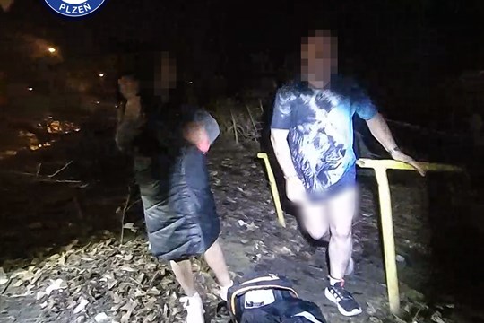 Drahá chvilka rozkoše v křoví: Strážníci v Plzni utnuli placenou romantiku u hlavní silnice