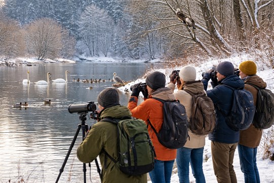 Světový den mokřadů: Vydejte se na procházku okolo Berounky