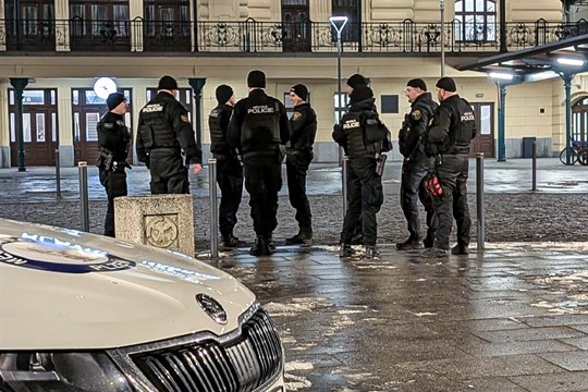 Noční razie v Plzni: Zakuklenec s pálkou na střeše auta a opilé mladistvé