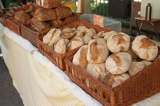 Karlovarské farmářské trhy lákají na italské delikatesy i broušení nožů