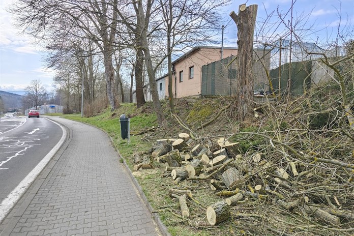 V loňském roce pokácený strom v Kozinově ulici (naproti čerpací stanici).