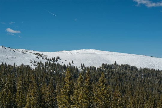 Šumava pod sněhem: Hřebeny hlásí přes metr, sněžit má i v dalších dnech 