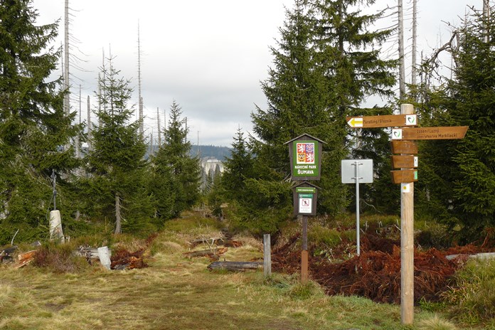 Modrý sloup na Šumavě