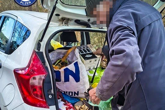 Plasty místo hnoje. Senior v Plzni půl roku „krmil“ les odpadky, strážníkům tvrdil, že recykluje