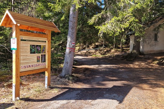 Turisté, pozor! Cesta kolem Černého jezera se na dva týdny změní v rizikovou zónu