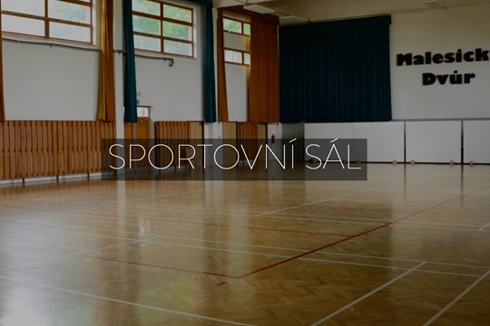 Informace pro zájemce o sportování v Malesickém Dvoře