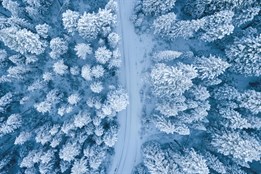 Mrazivé dny v Česku: Co si na nich užít, místo abychom je jen přežili