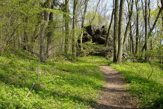 Tip na jarní výlet k hradu Lopata: Přírodní park Kornatický potok láká na historii i vzácné květy