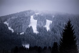 Šumavský rys se vrací. Skialpový den na Špičáku nabídne testování vybavení, workshopy i večerní závod s čelovkami