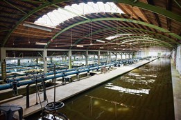 Plzeň opraví budovu Puech-Chabalovy filtrace vody, technický unikát má 100 let