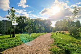 Sokolov slaví: Studentská alej a Stromokruh se staly Alejí roku Karlovarského kraje