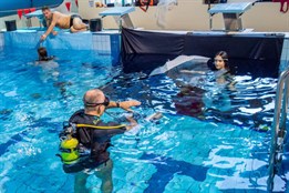 Bazén v Rokycanech se promění v ateliér: Chystá se mistrovství ve fotografování pod vodou